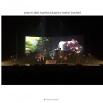 Concert Alain Souchon  & Laurent Voulzy, tableau Jeanne projeté